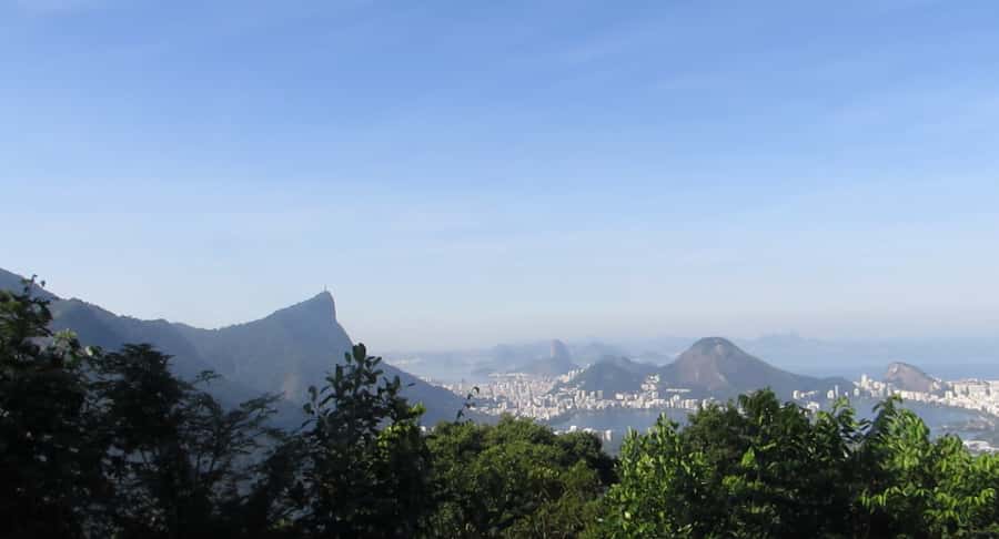 Rio: Botanical Garden, Tijuca Forest, and Parque Lage Tour - Wandering through Rio’s Botanical Garden