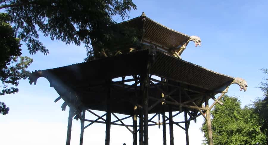 Rio: Botanical Garden, Tijuca Forest, and Parque Lage Tour - Pickup areas, timing, and practical details