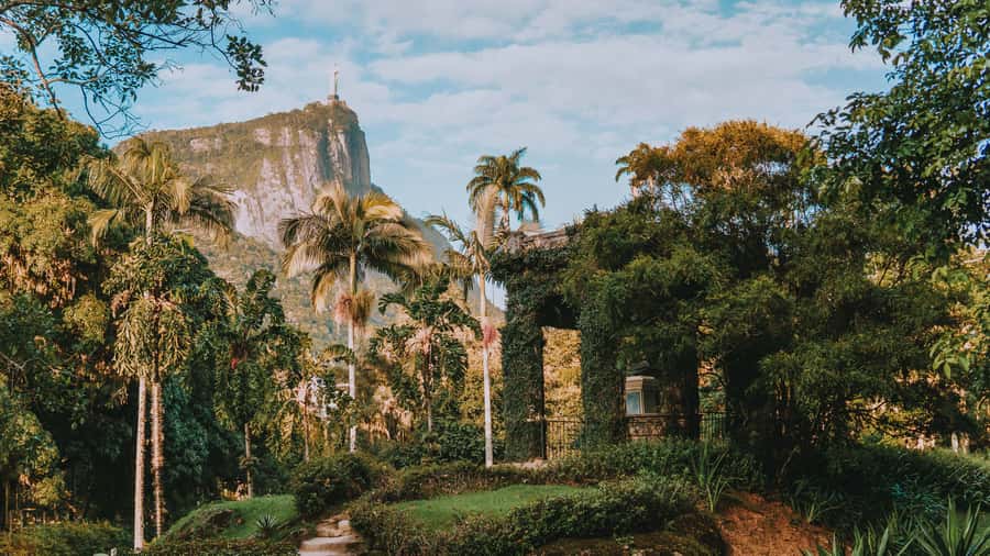 Rio de Janeiro: 4-Hour Botanical Garden & Tijuca Forest Tour - Key points to know before booking