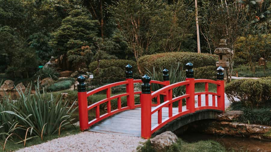Rio de Janeiro: 4-Hour Botanical Garden & Tijuca Forest Tour - Who will enjoy this four-hour outing?