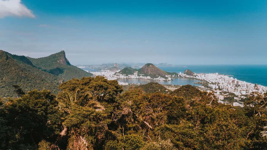 Rio de Janeiro: 4-Hour Botanical Garden & Tijuca Forest Tour - São Conrado beach and the ride back