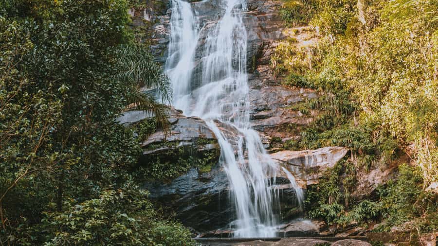 Rio de Janeiro: 4-Hour Botanical Garden & Tijuca Forest Tour - Practical details that affect your day