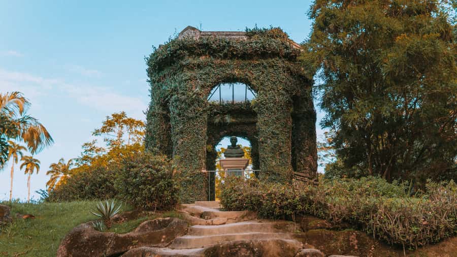Rio de Janeiro: 4-Hour Botanical Garden & Tijuca Forest Tour - Starting beneath the imperial palms