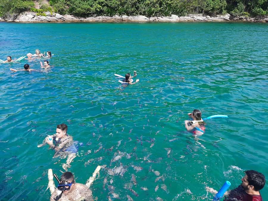 Rio de Janeiro: Angra dos Reis and Ilha Grande Full-Day Tour - Is $77 a fair price?
