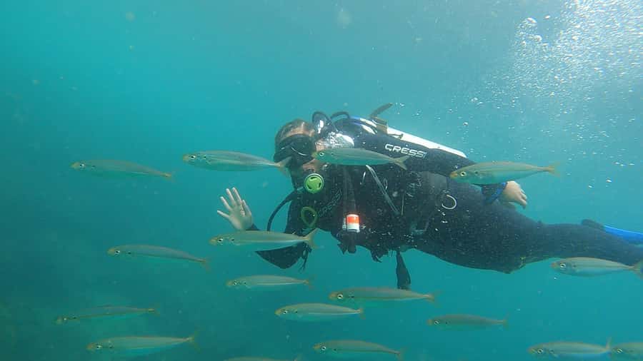 Rio de Janeiro: Arraial do Cabo Scuba Diving Day Trip - Boarding the boat in Arraial do Cabo