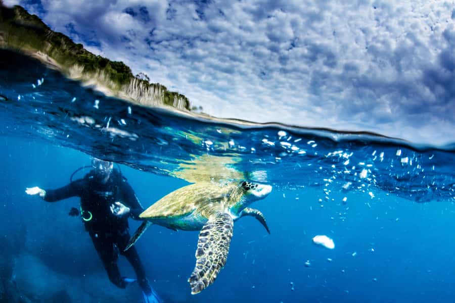 Rio de Janeiro: Arraial do Cabo Scuba Diving Day Trip - What the underwater session is like