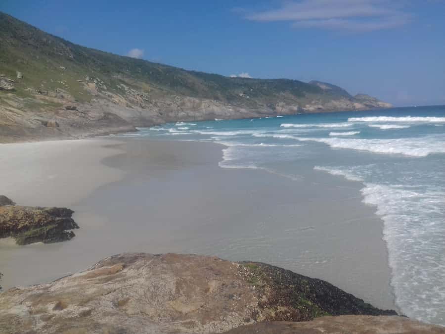 Rio de Janeiro: Arraial do Cabo Scuba Diving Day Trip - Marine life in clear Atlantic water