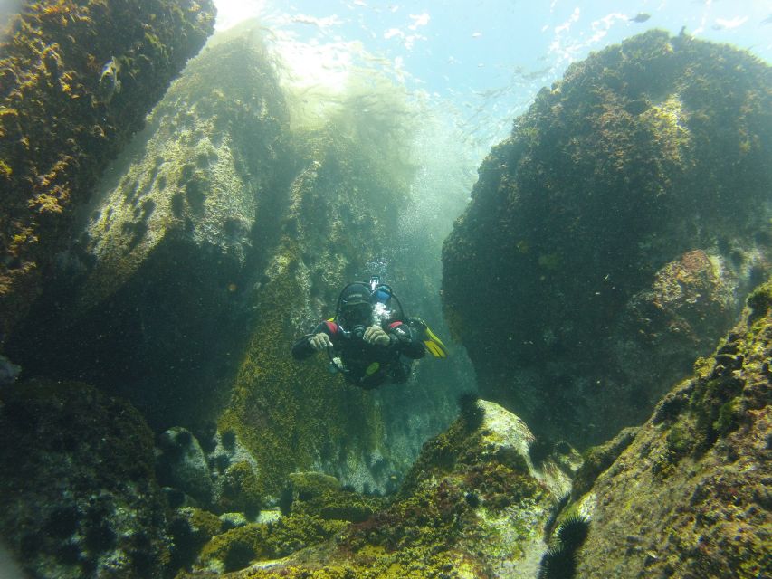 Rio de Janeiro: Arraial do Cabo Scuba Diving Day Trip - Timing, weather, and the best type of participant