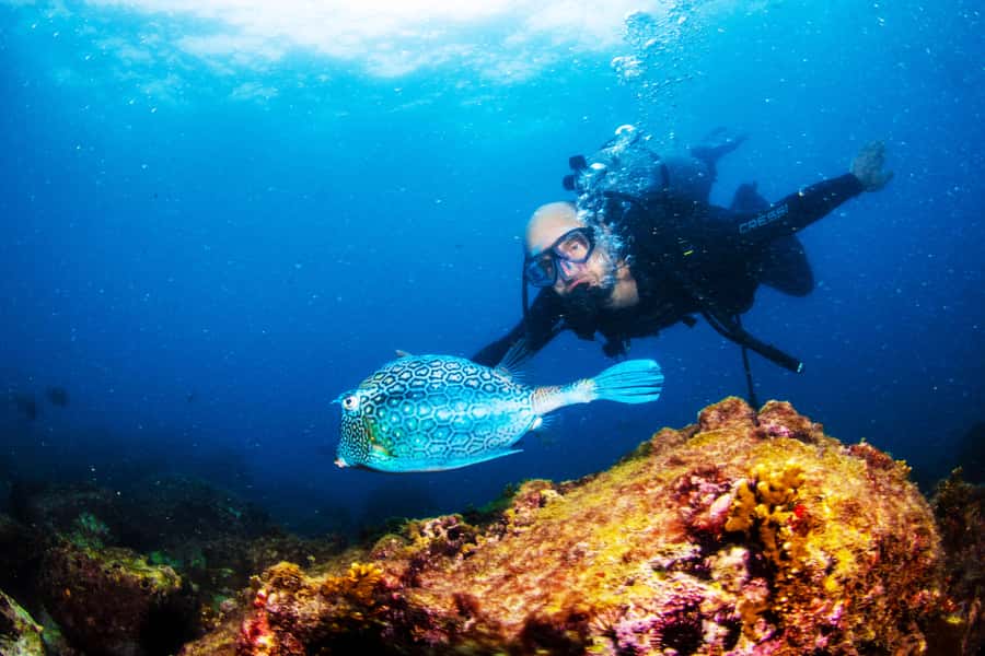 Rio de Janeiro: Arraial do Cabo Scuba Diving Day Trip - Pickup from Rio’s South Zone