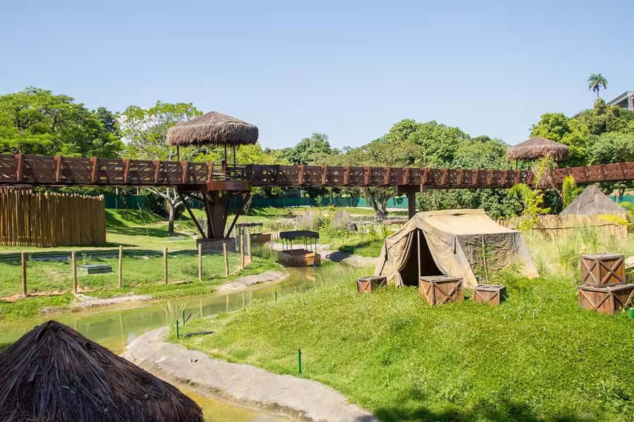 Rio de Janeiro: BioParque Guided Tour with Transfer - Key points to know before you book