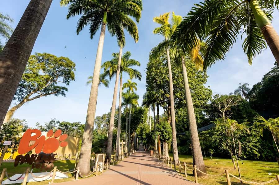 Rio de Janeiro: BioParque Guided Tour with Transfer - Seeing 140 species across 51 enclosures