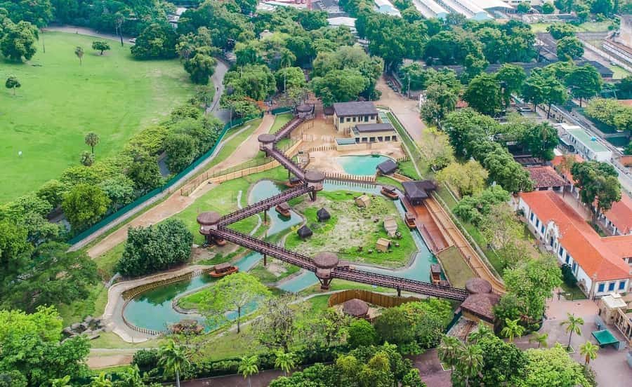 Rio de Janeiro: BioParque Guided Tour with Transfer - Who will enjoy this tour most
