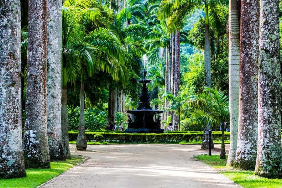Rio de Janeiro: Botanical Garden Premium Private Tour - Key Points at a Glance