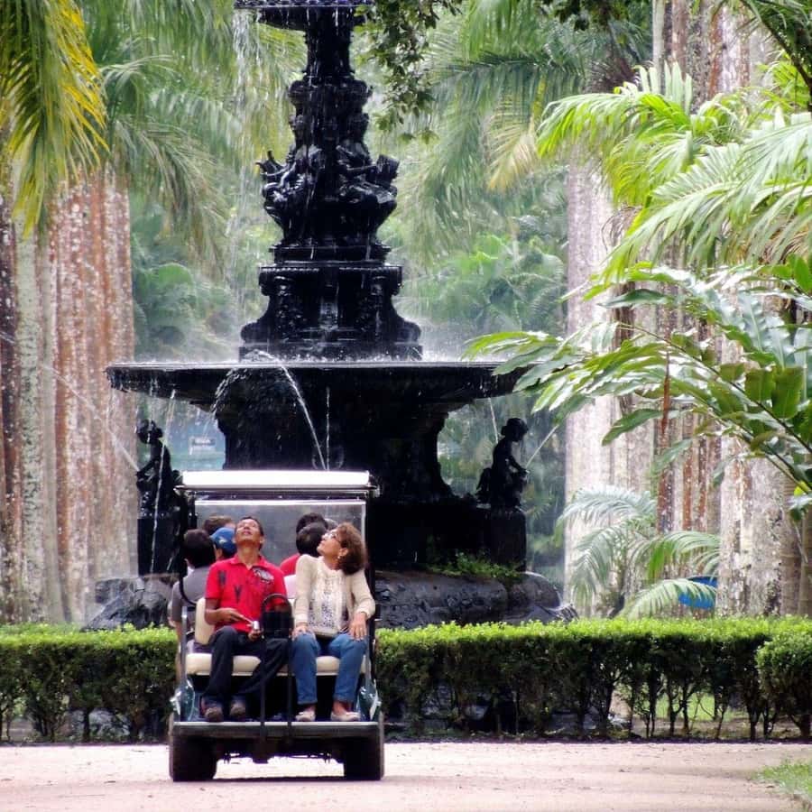 Rio de Janeiro: Botanical Garden Premium Private Tour - Inside the Garden: Plants, Greenhouses, and Themed Collections