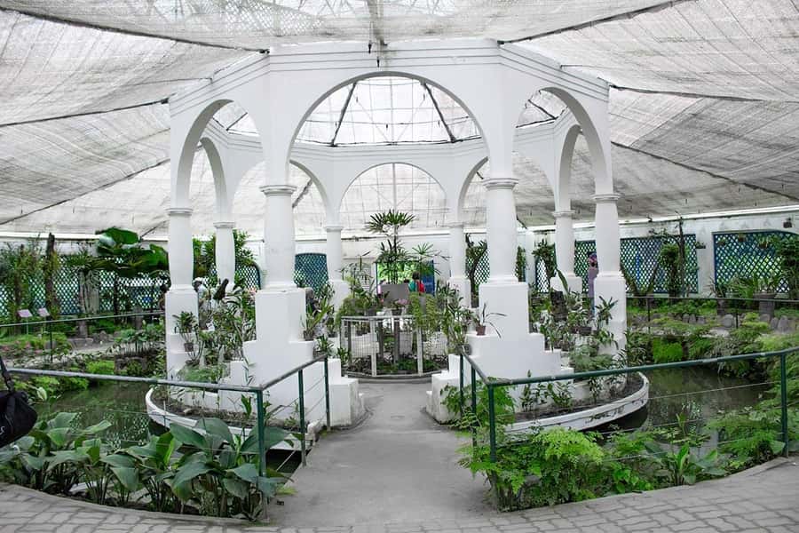 Rio de Janeiro: Botanical Garden & Tijuca Forest Guided Tour - Waterfalls, light trails, and forest details