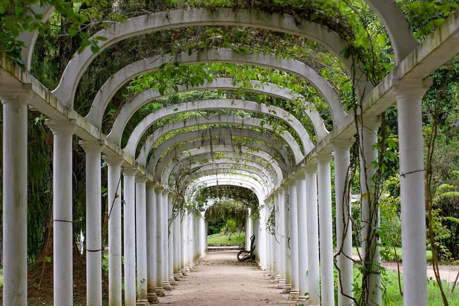 Rio de Janeiro: Botanical Garden & Tijuca Forest Guided Tour - The timing issue you should clarify