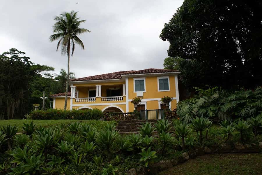 Rio de Janeiro: Botanical Garden & Tijuca Forest Guided Tour - Who will enjoy this experience most