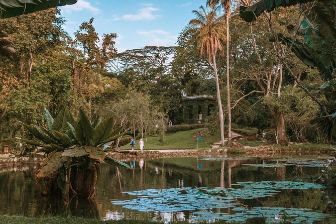 Rio de Janeiro Botanical Garden & Tijuca Forest Tour - Vista Chinesa and the problem of changing access