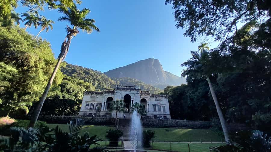 Rio de Janeiro: Christ the Redeemer Guided Hike - Climbing through Tijuca National Rainforest