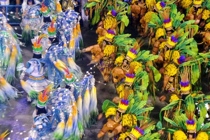 Rio de Janeiro Costume Experience in the Carnival Parade & Transfer - What happens at the Sambadrome