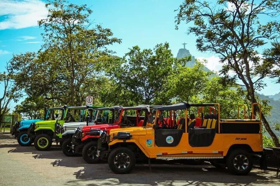 Rio de Janeiro: Favela Jeep Tour to Rocinha and Capoeira - What the community walk can reveal
