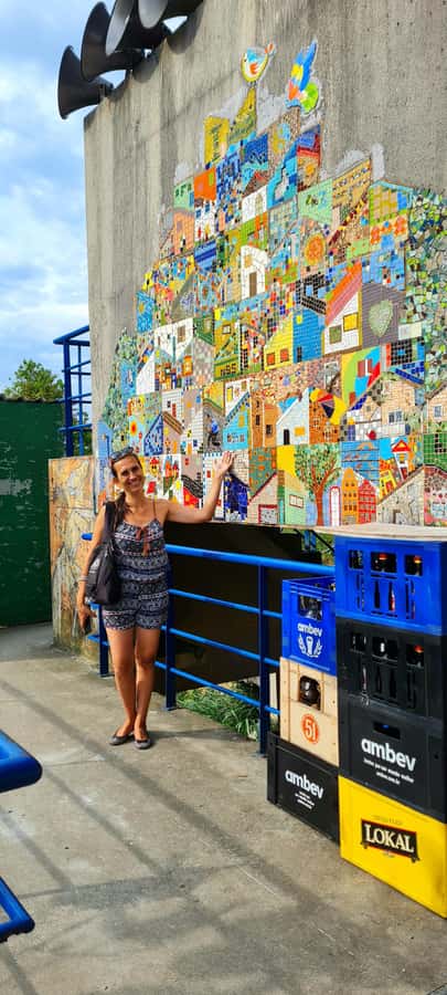 Rio de Janeiro: Favela Santa Marta Tour with Resident Guide - Michael Jackson Square and Time Among Local Residents