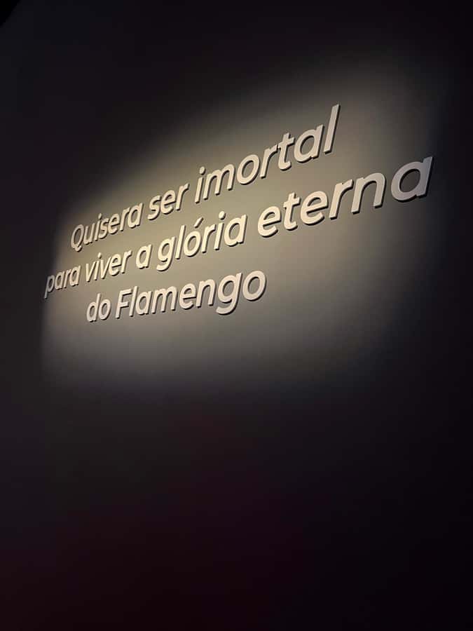 Rio de Janeiro: Flamengo Museum Ticket Entrance - Four floors of trophies and sporting memory