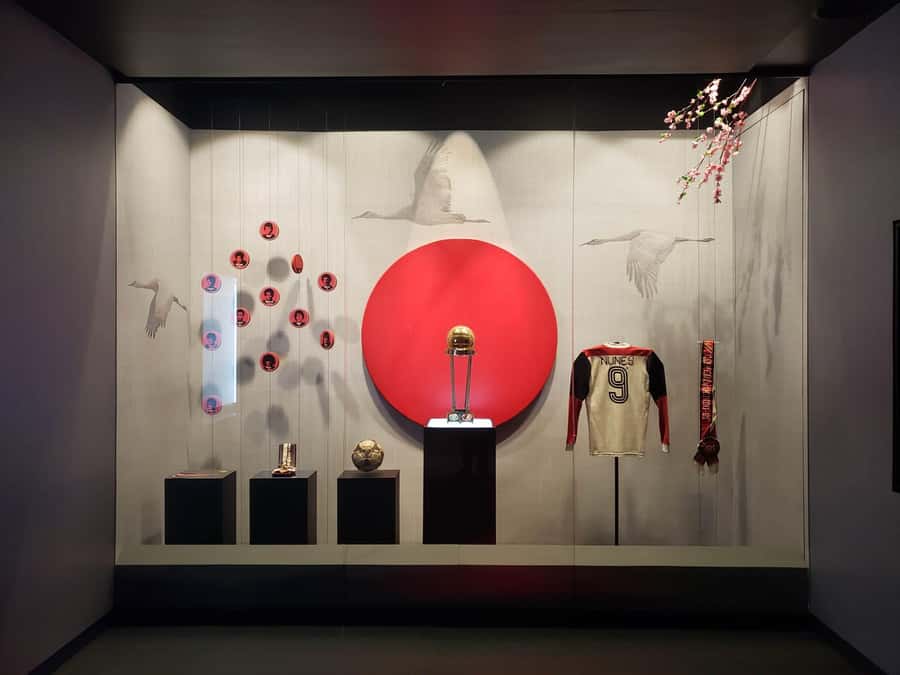 Rio de Janeiro: Flamengo Museum Ticket Entrance - The emotional side of the Rubro-Negro identity