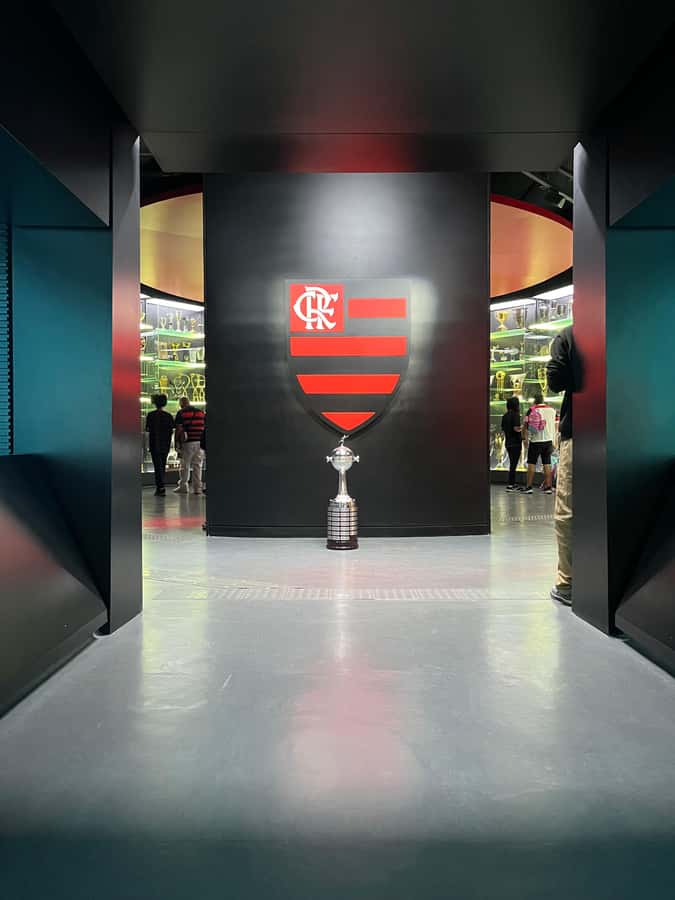 Rio de Janeiro: Flamengo Museum Ticket Entrance - Entering the Gávea headquarters