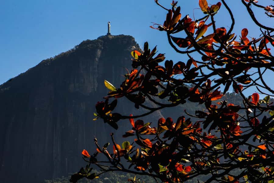 Rio de Janeiro: Guided Bike Tours in Small Groups - Choosing between the three Rio bike tours