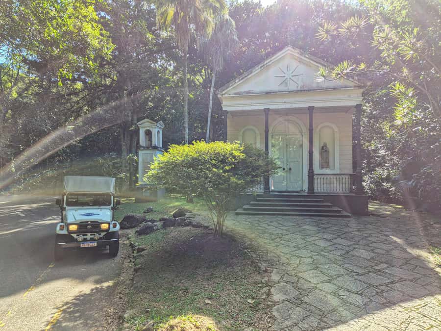 Rio de Janeiro: Guided Jeep Tour through Tijuca Rainforest - The open-top Jeep is part of the experience