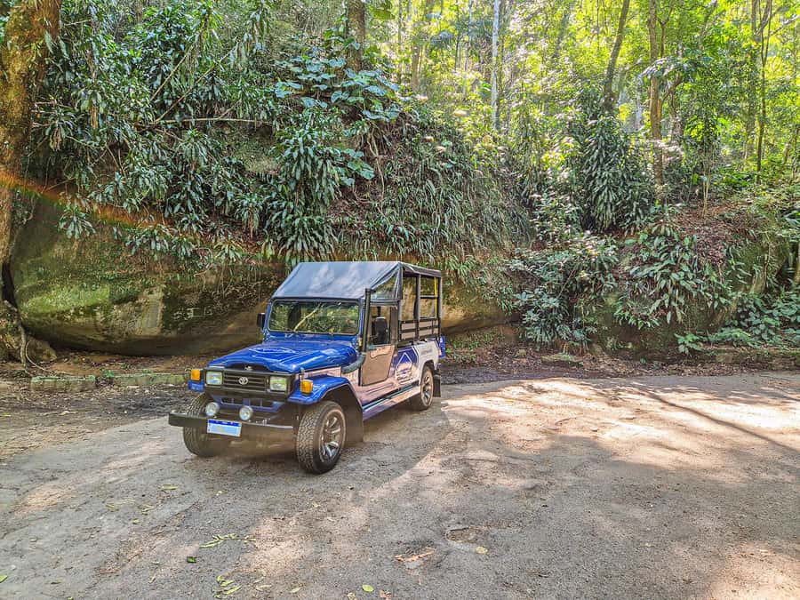 Rio de Janeiro: Guided Jeep Tour through Tijuca Rainforest - Capela Mayrink: a quiet cultural stop