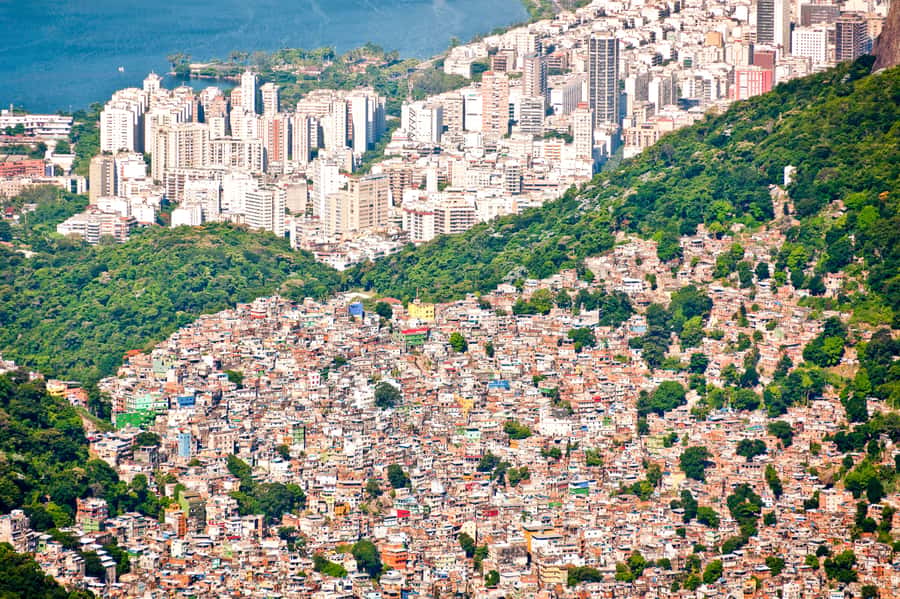 Rio De Janeiro: Half-Day Rocinha Favela Walking Tour - Meeting at Copacabana Palace