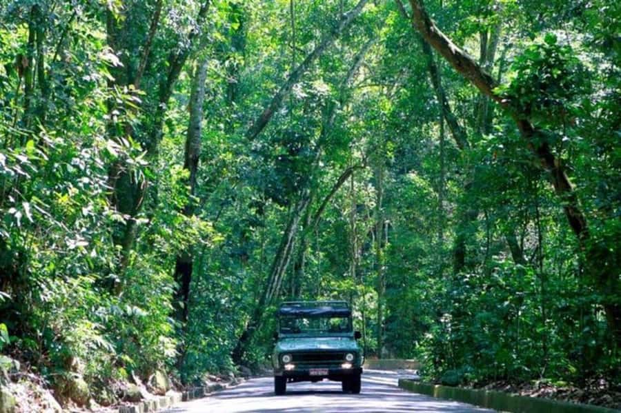 Rio de Janeiro: Jeep Tour Christ the Redeemer + Sugar Loaf - Riding through Tijuca Forest to Christ the Redeemer