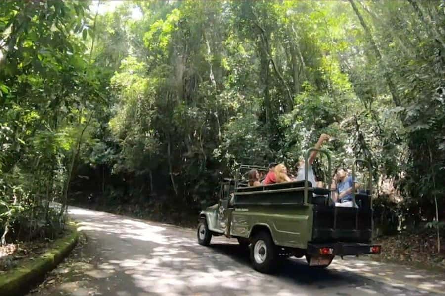 Rio de Janeiro: Jeep Tour Christ the Redeemer + Sugar Loaf - Guide quality can shape the whole experience
