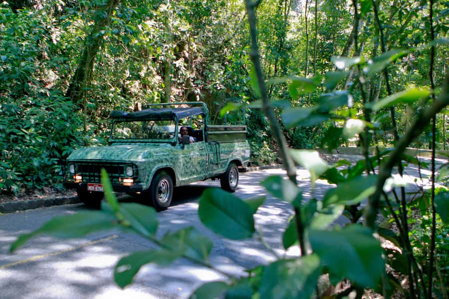 Rio de Janeiro: Jeep Tour in the Tijuca Forest - Key points to know before you book