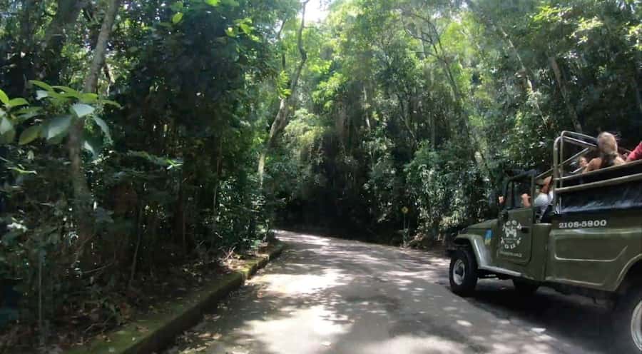 Rio de Janeiro: Jeep Tour in the Tijuca Forest - Learning about the Atlantic Forest
