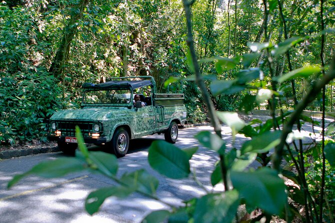 Rio de Janeiro Jeep Tour : Tijuca Forest - Why Tijuca Forest Belongs on Your Rio Itinerary