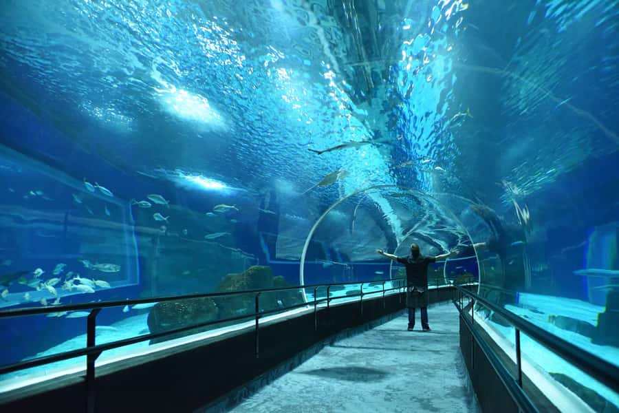 Rio de Janeiro: Marine Aquarium Entry Tickets - Getting there from Copacabana