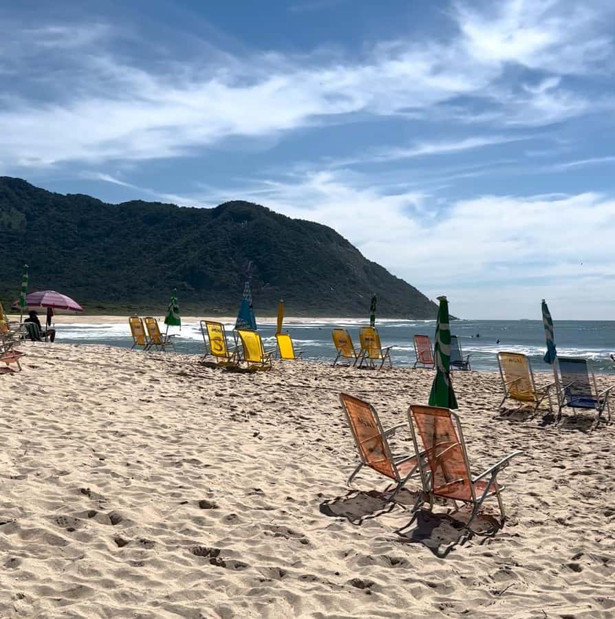 Rio de Janeiro: Pedra do Telégrafo trail and beach stop - Walking the 2-kilometer forest trail