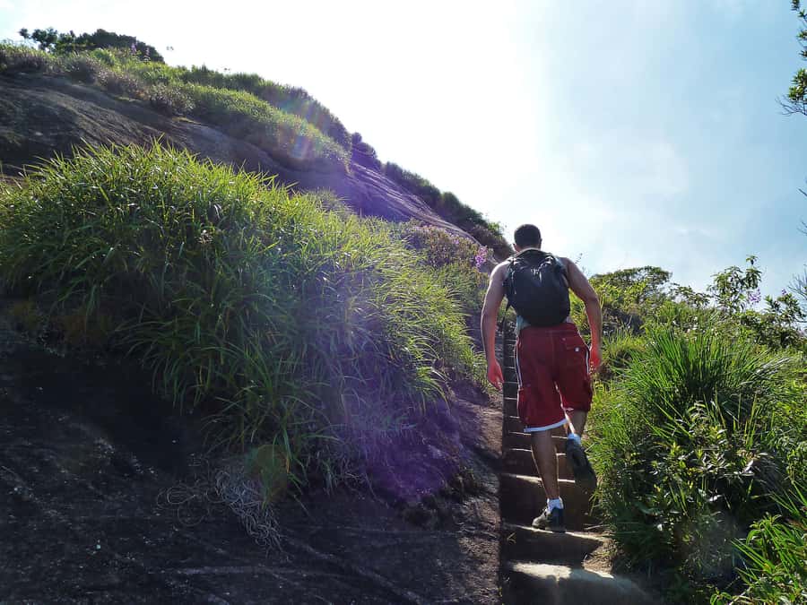 Rio de Janeiro: Pico da Tijuca Hiking Tour - Key Points To Know Before You Book