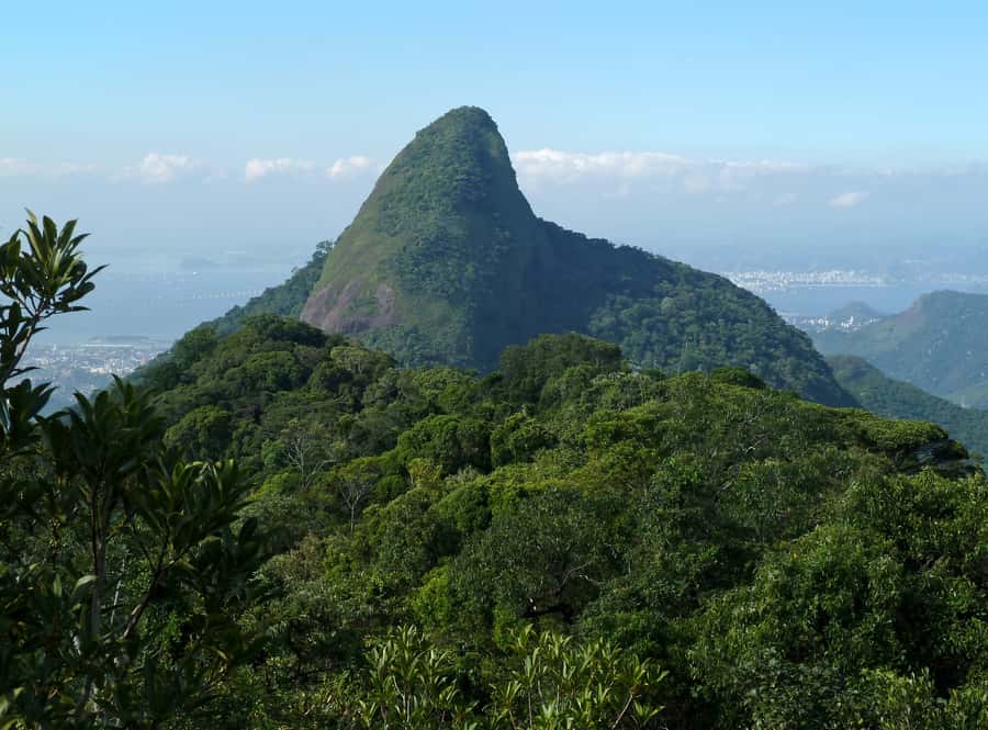 Rio de Janeiro: Pico da Tijuca Hiking Tour - Why Pico da Tijuca Is Worth Your Time