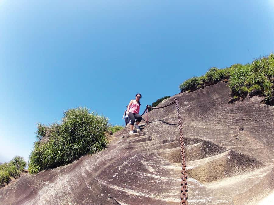Rio de Janeiro: Pico da Tijuca Hiking Tour - Starting At Bom Retiro In Tijuca Forest