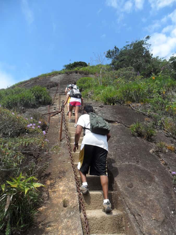 Rio de Janeiro: Pico da Tijuca Hiking Tour - Reaching Rio’s Highest Peak