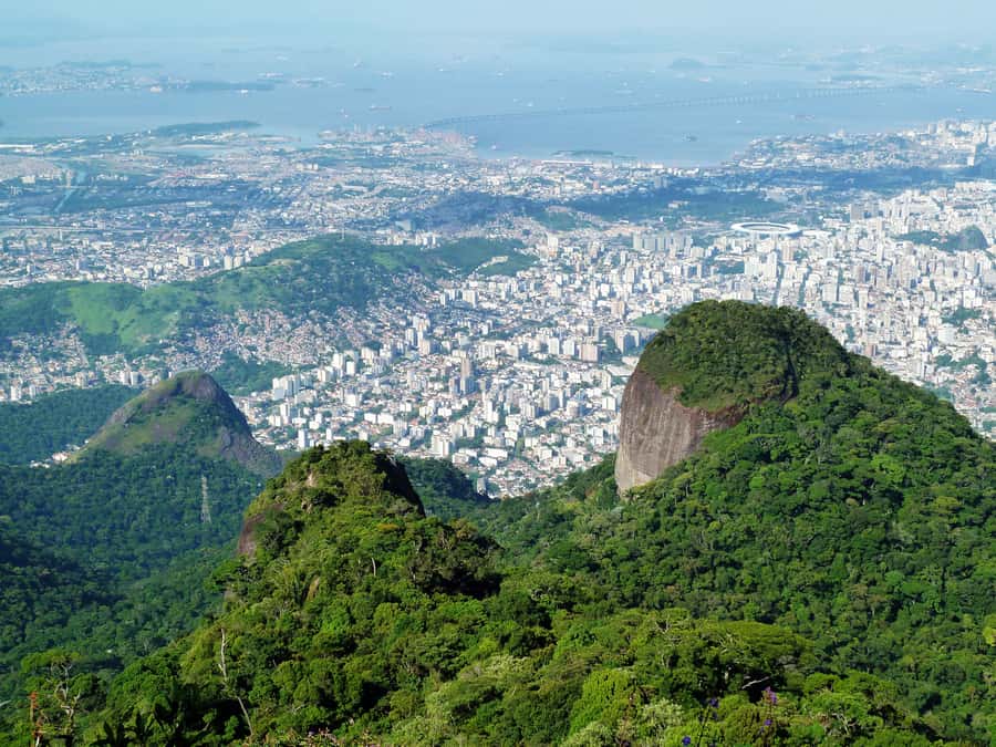 Rio de Janeiro: Pico da Tijuca Hiking Tour - Who Should Book This Hike?