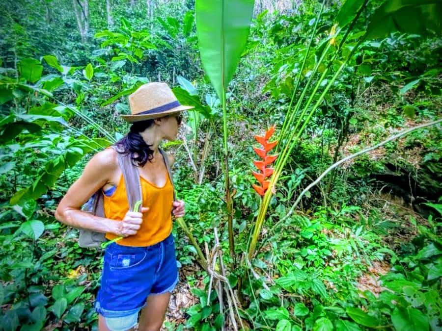 Rio de Janeiro Secluded Beaches: Hike+Swim Prainha & Grumari - Why this beach trip is different from ordinary Rio sightseeing