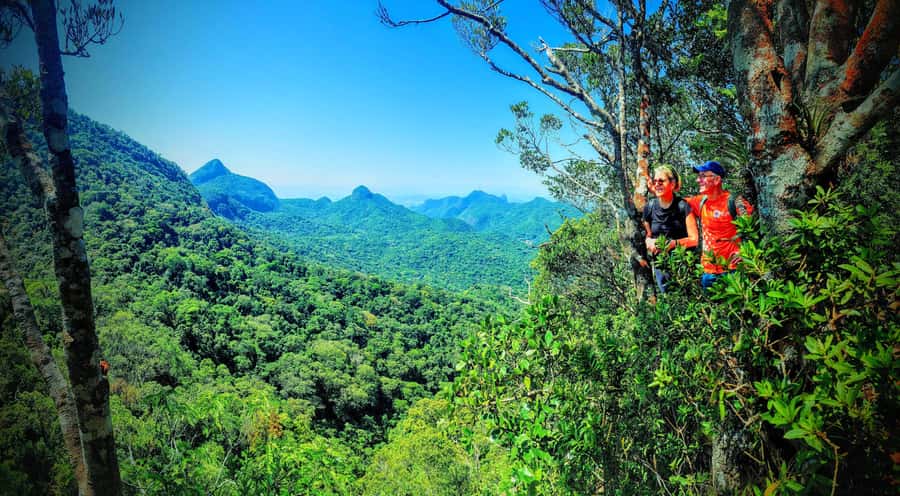 Rio de Janeiro: Tijuca Forest Challenge Hike Full-Day Trip - Coffee-farm ruins, grottos, and the Bat Cave