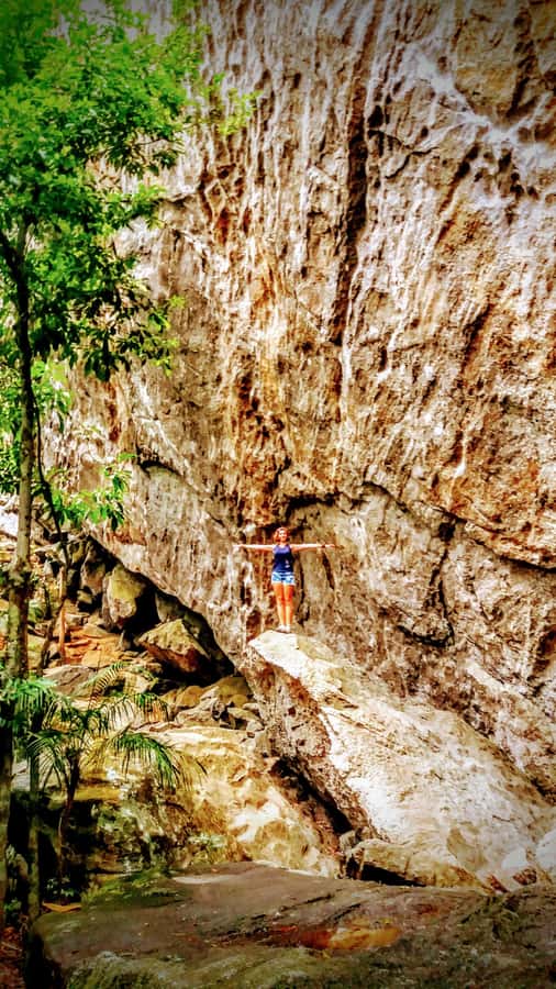 Rio de Janeiro: Tijuca Forest Challenge Hike Full-Day Trip - Vista Chinesa and the ride home