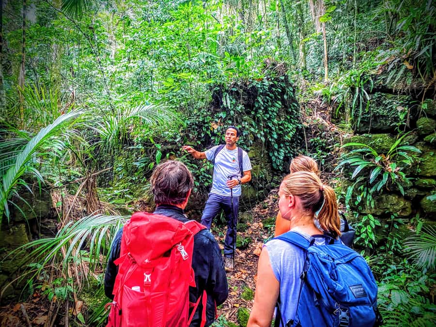 Rio de Janeiro: Tijuca Forest Challenge Hike Full-Day Trip - What $86 gets you