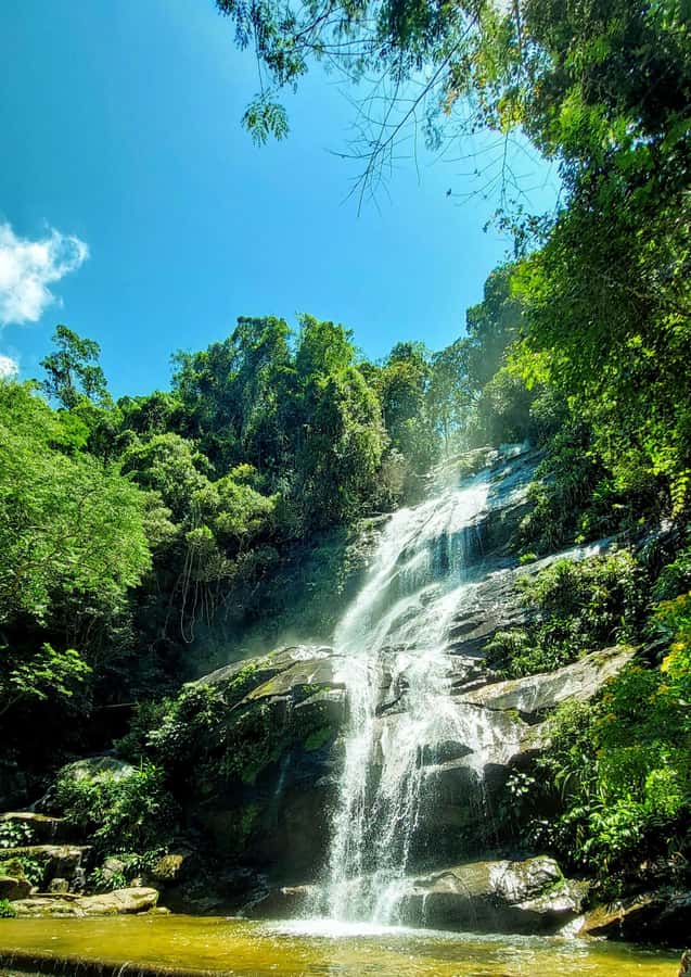 Rio de Janeiro: Tijuca Forest Challenge Hike Full-Day Trip - Who should book this hike?